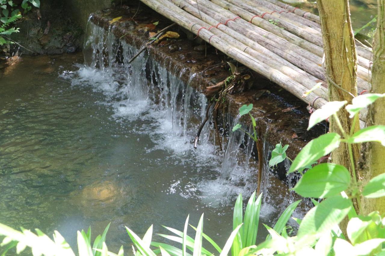 Baan Rai Me Rak Organic Farmstay Pa Khlok Exterior foto